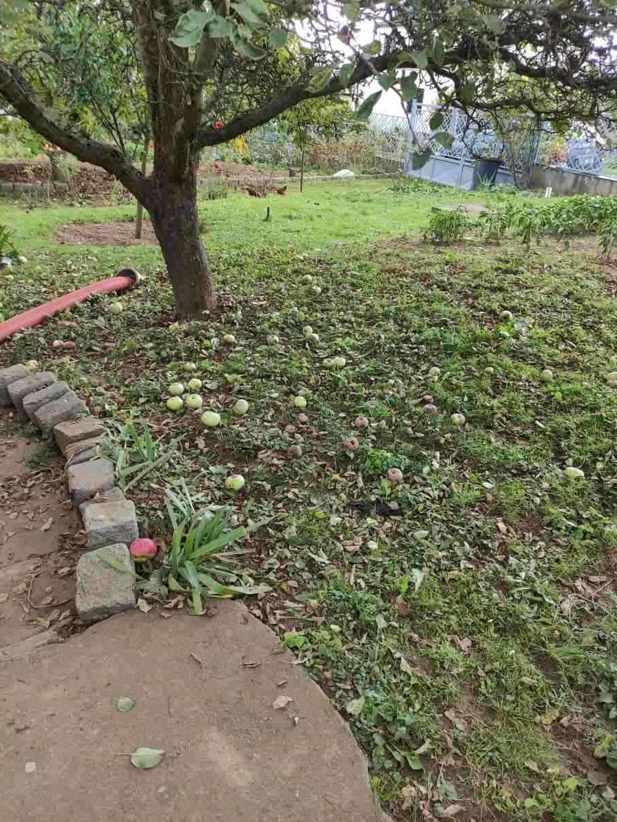 Zahrada & venek Plzeň  Zahrada & venek Plzeň – údržba, svody, panty, zámky