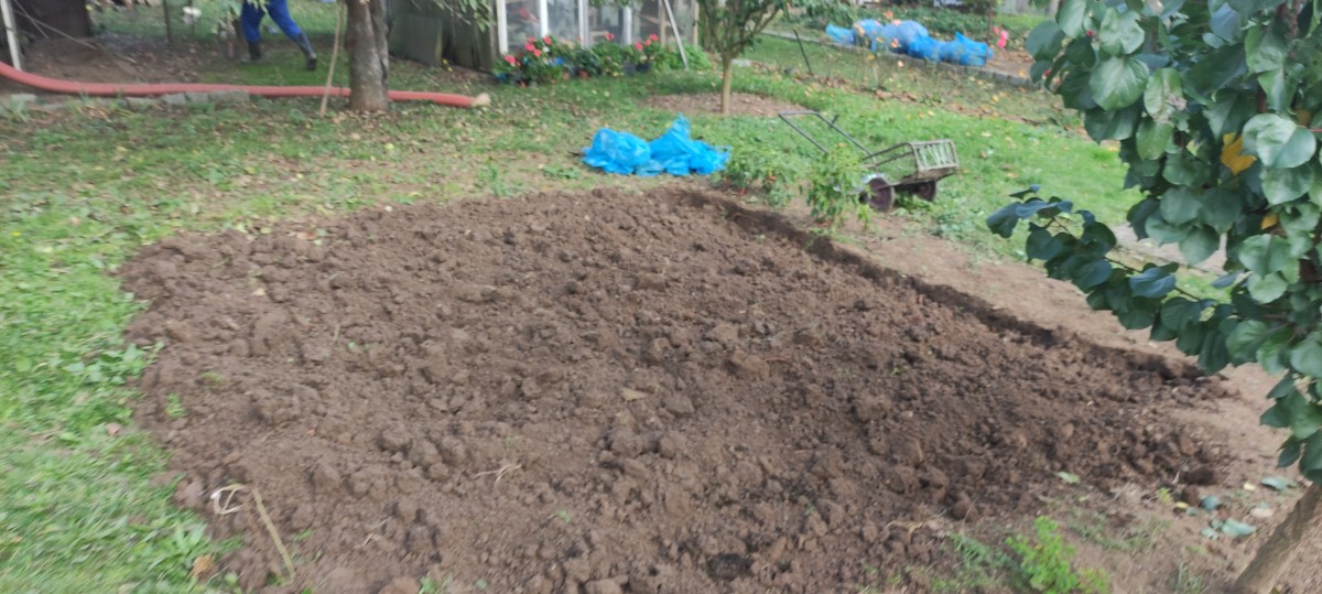 Zahradnické služby – sekání, prořez, vertikutace