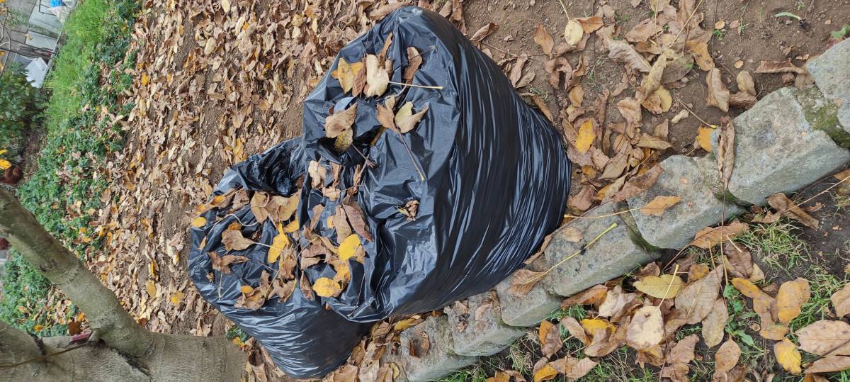 Oprava žaluzií a nastavení lamel – Hodinový manžel Plzeň