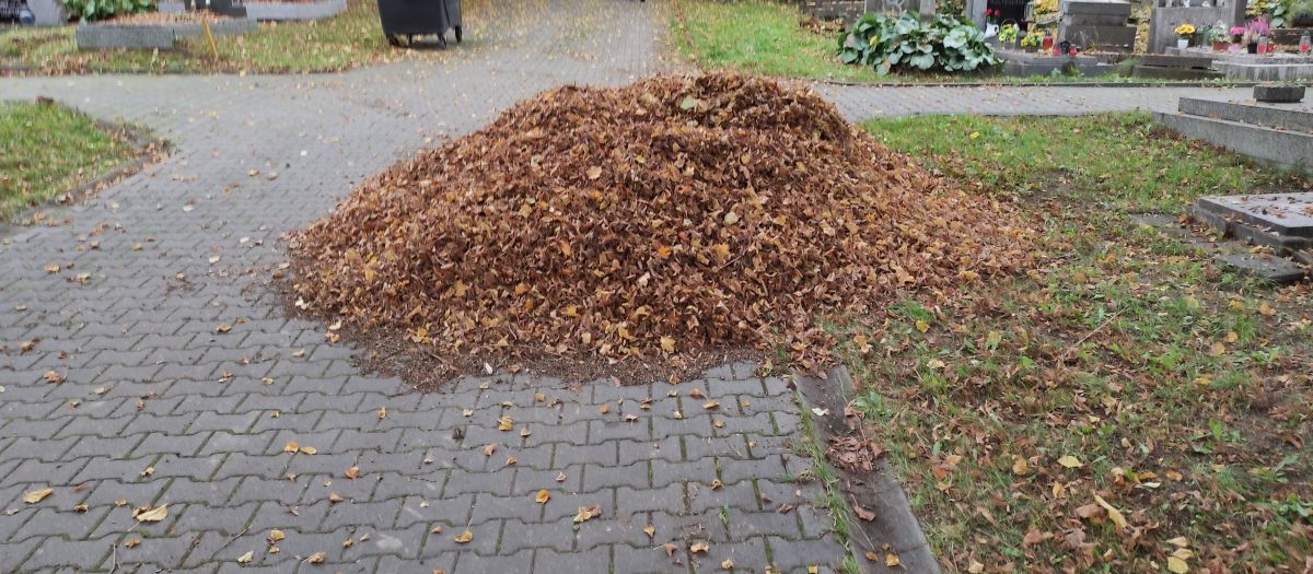 Další služby dle dohody